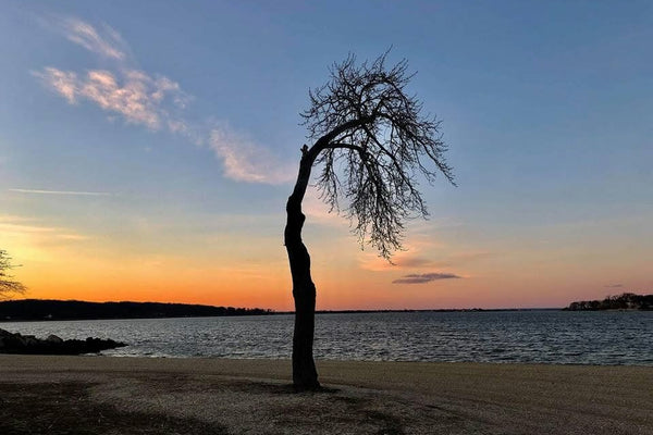 The Best of Oyster Bay Summer: Your August 2026 Guide