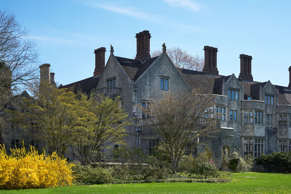 Planting Fields Arboretum in Spring: What's Blooming & What to Do After