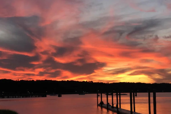 A Perfect Day in Oyster Bay: The Insider's Guide to the Gold Coast